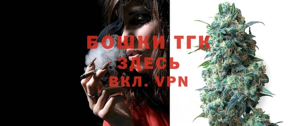 прущие грибы Армянск