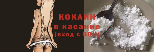 прущие грибы Армянск