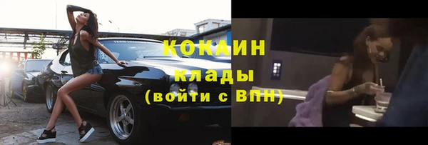 прущие грибы Армянск