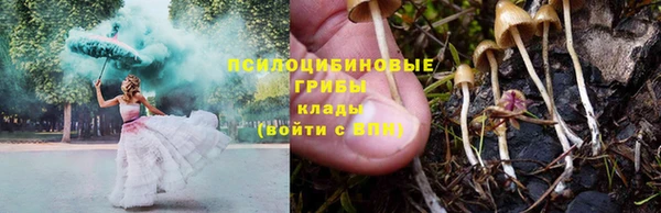 круглые Арсеньев