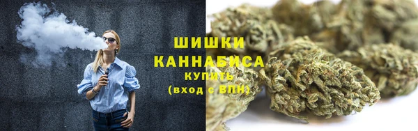 прущие грибы Армянск