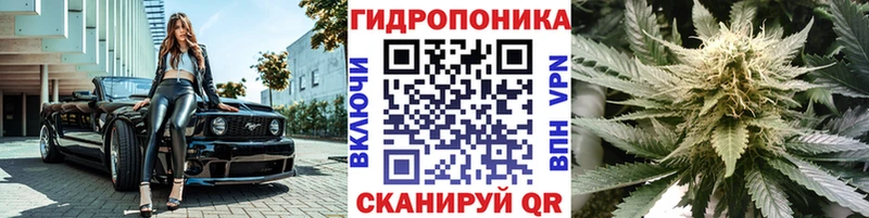 где можно купить наркотик Волгоград Канабис семена